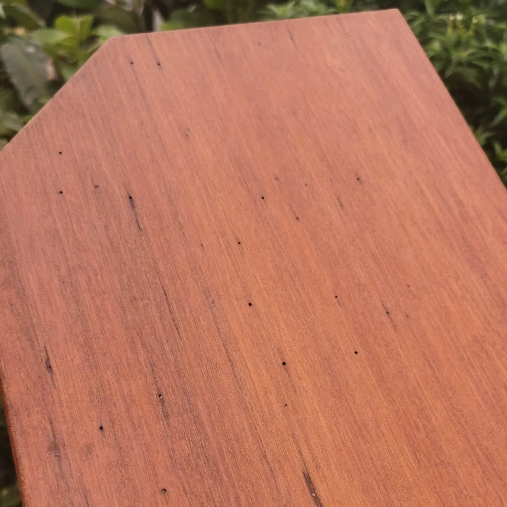 MULA 6 Board - Image 5